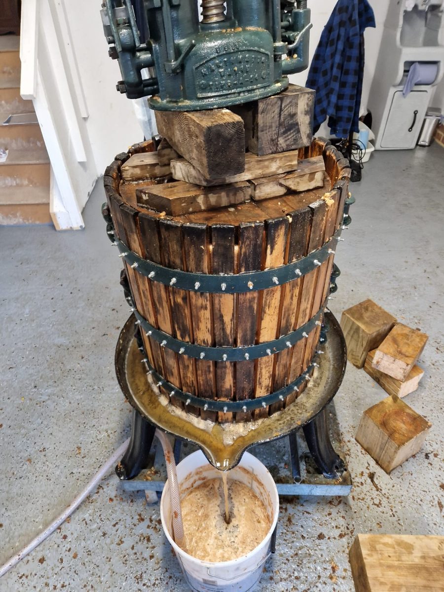 Fresh juice running from the old wooden basket press