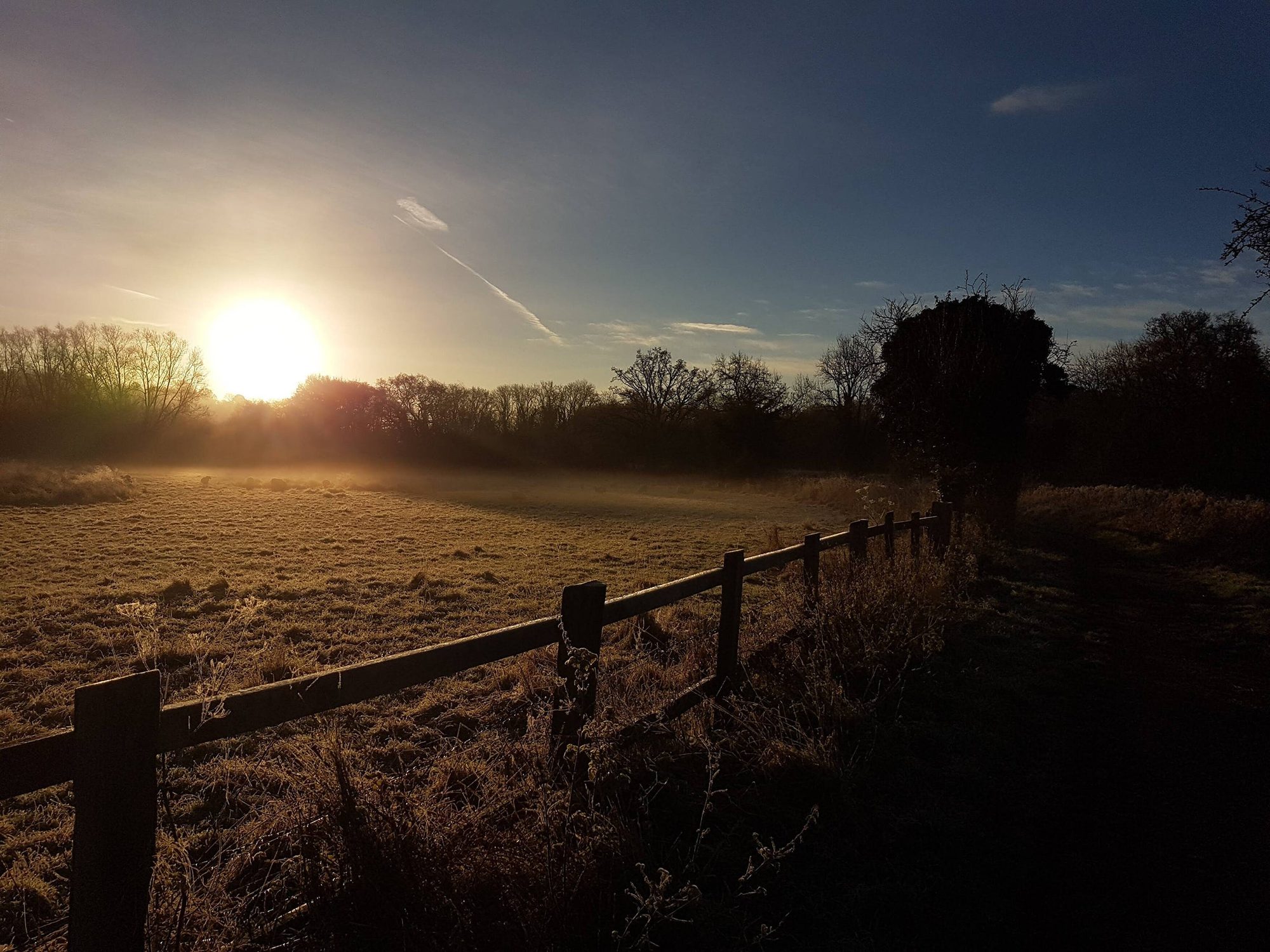 Sunrise over a frosted field at Kilnside, with sheep grazing in the mist beyond the fence