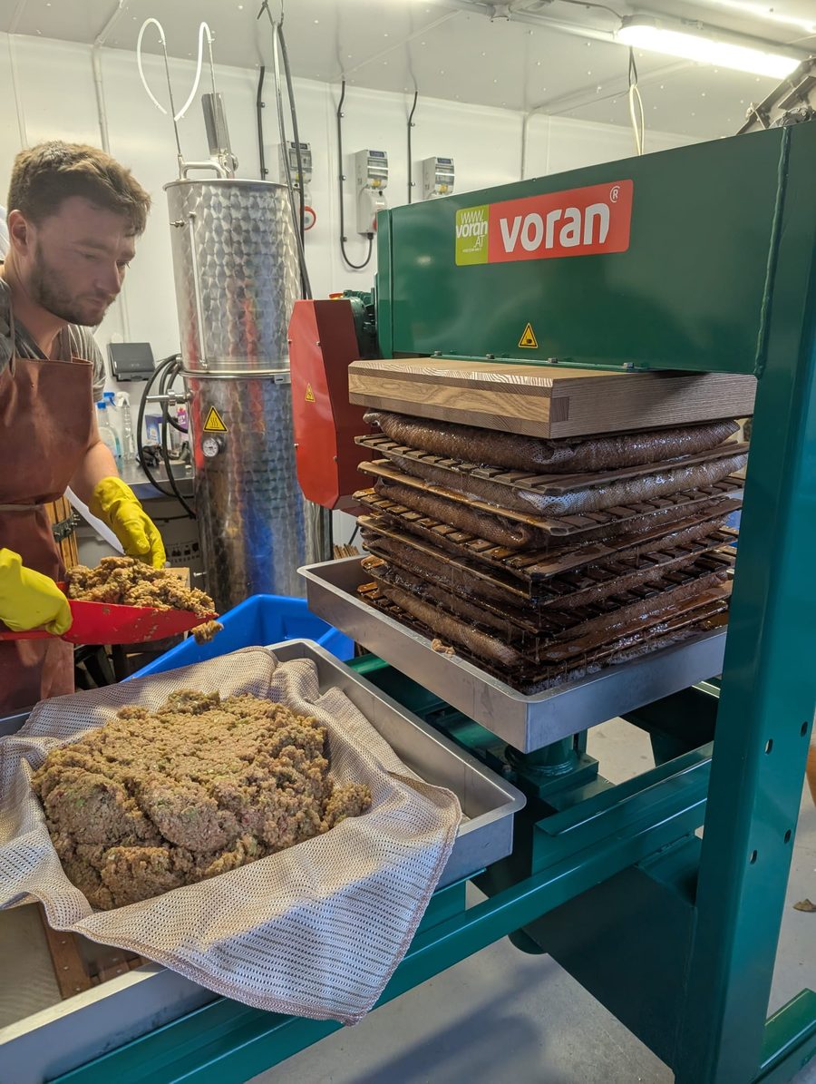 Pressing apple pulp in the cidery, with the stacked cheeses in the hydraulic press